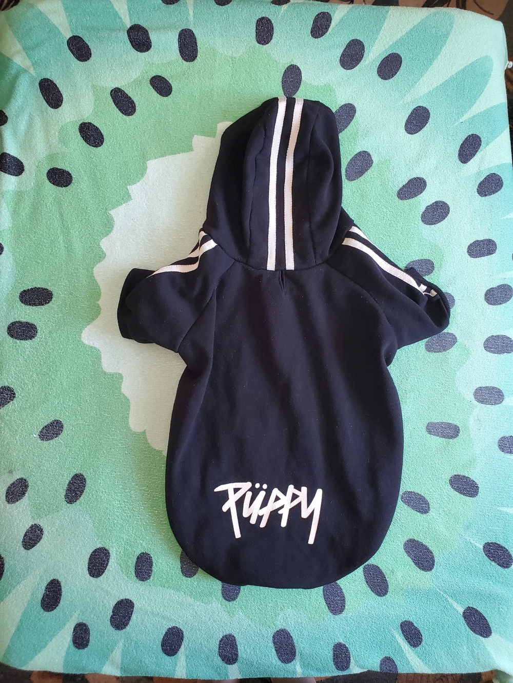 Puppy Black Street Hoodie For Small/Medium Dogs
